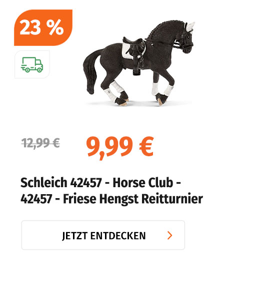 HENGST FRIESE REITTURNIER